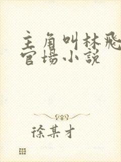 主角叫林飞杨的官场小说