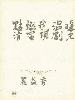 点燃我温暖你高清电视剧免费观看