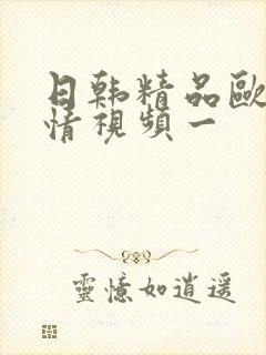 日韩精品欧美激情视频一