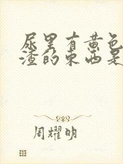 尿里有黄色豆腐渣的东西是什么情况