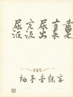 尿完尿有黄色粘液流出来是怎么回事?