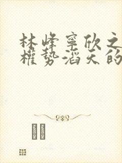 林峰宁欣之官道权势滔天的小说推荐封面