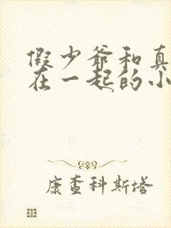 假少爷和真少爷在一起的小说