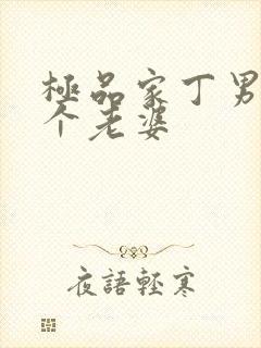 极品家丁男主几个老婆