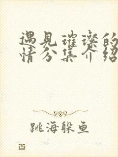 遇见璀璨的你剧情分集介绍封面