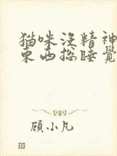 猫咪没精神不吃东西总睡觉还呕吐