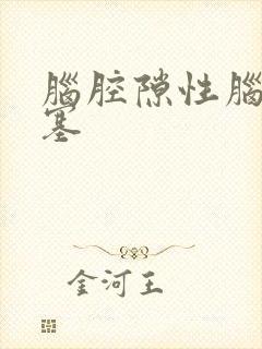 脑腔隙性脑求梗塞