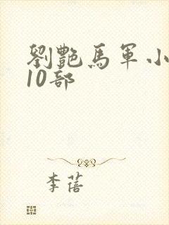 刘艳马军小说第10部封面