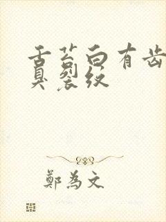 舌苔白有齿痕口臭裂纹