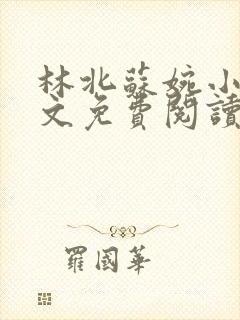 林北苏婉小说全文免费阅读最新