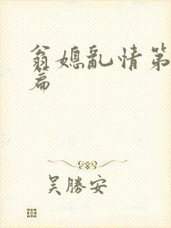 翁媳乱情第十三篇封面