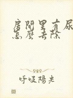 房间里有尿骚味怎么去除