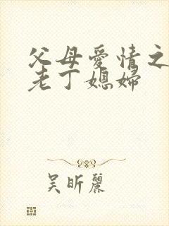父母爱情之我是老丁媳妇