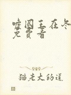 嘘国王在冬眠 免费看