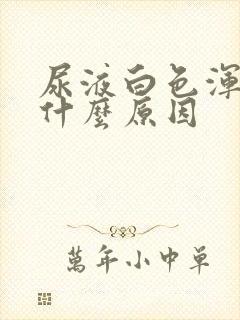 尿液白色浑浊是什么原因