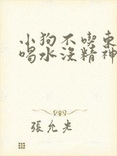 小狗不吃东西只喝水没精神怎么办