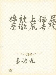 棉被上猫尿味怎么彻底去除封面