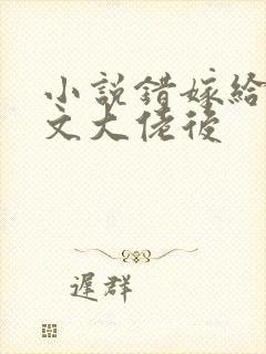 小说错嫁给年代文大佬后