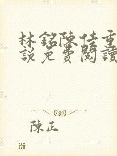 林铭陈佳重生小说免费阅读全文