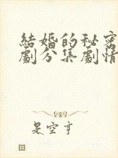 结婚的秘密电视剧分集剧情介绍