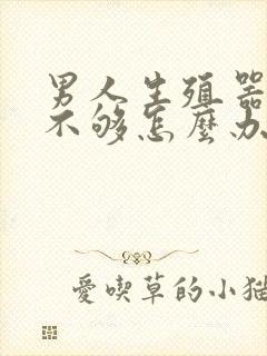 男人生殖器硬度不够怎么办