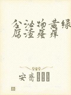 分泌物黄绿色豆腐渣瘙痒