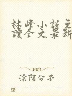 林峰小说免费阅读全文最新章节封面