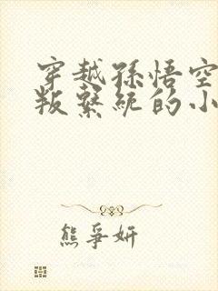 穿越孙悟空的反叛系统的小说