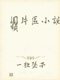 图片区小说区视频