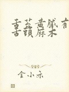 舌苔黄腻有齿痕舌头麻木