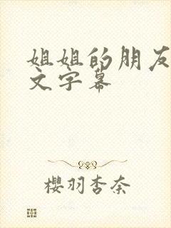 姐姐的朋友3中文字幕封面