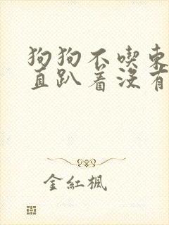 狗狗不吃东西一直趴着没有精神封面