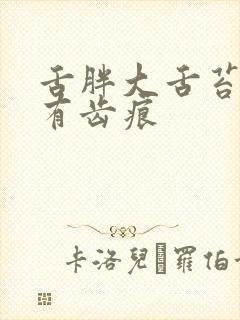 舌胖大舌苔厚黄有齿痕