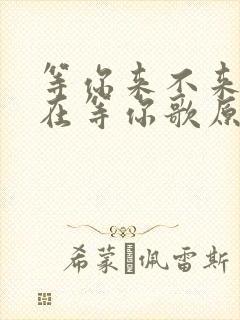 等你来不来我都在等你歌原唱封面