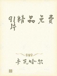 91精品免费毛片封面