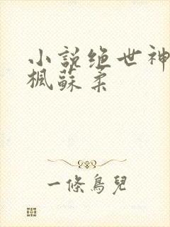 小说绝世神皇楚枫苏柔