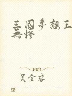 三国梦想王元姬无惨