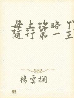 母上攻略 竹影随行第一主板封面