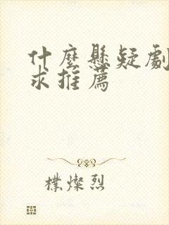 什么悬疑剧好看求推荐