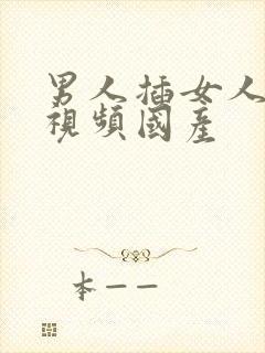 男人插女人的逼视频国产