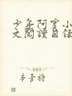 少年阿宾小说全文阅读目录免费