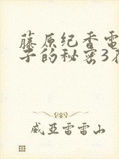 藤原纪香电影妻子的秘密3在线观看