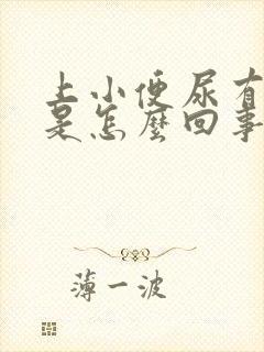 上小便尿有味道是怎么回事