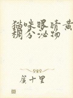 猫咪眼睛黄色粘稠分泌物