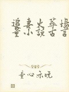 追妻火葬场高质量小说古言