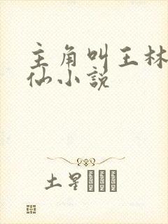 主角叫王林的修仙小说