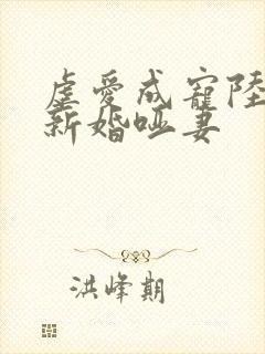 虐爱成宠陆总的新婚哑妻