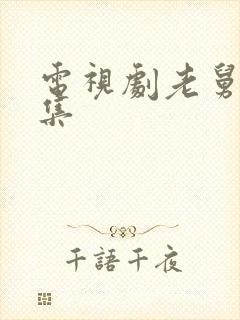 电视剧老舅多少集