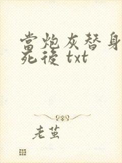 当炮灰替身的我死后 txt封面