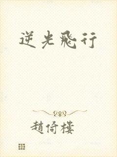逆光飞行
